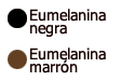 Eumelanina